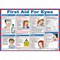 First Aid For Eyes Laminated Guidance Poster A2 - First Aid For Eyes Laminated Guidance Poster A2 -