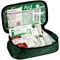 Universal First Aid Kit in Nylon Bag -