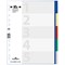 Durable 5 Part Coloured Tab Index Punched File Dividers, A4+, Multicolour, Pack of 20