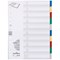Durable A4 10 Part Coloured Tabs and Cover Sheet Index, Multicoloured, Pack of 25