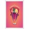Announce by 5 Star 15mm Snap Frame A5 Mitred Crnr White Frame