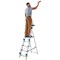 Werner Workstation 5 Tread Stepladder Twin Handrails Blue 7050518L