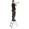 Werner 3 Tread Stepladder with High Handrail Aluminium 7400318L