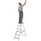 Werner 6 Tread Stepladder with High Handrail Aluminium 7400618L