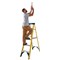 Werner 6 Tread Fibreglass Swingback Stepladder Yellow/Black 7160618