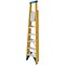 Werner 6 Tread Fibreglass Platform Ladder 7170618