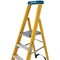 Werner 6 Tread Fibreglass Platform Ladder 7170618