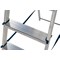 Werner 2 Tread Stepladder with High Handrail Aluminium 7400218L