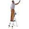 Werner Workstation 3 Tread Stepladder Twin Handrails Blue 7050318L