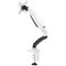 Single Quick Release Monitor Arm, White Single Quick Release Monitor Arm, White