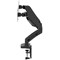 Dual Quick Release Monitor Arm, Black