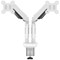 Dual Quick Release Monitor Arm, White