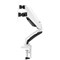 Dual Quick Release Monitor Arm, White