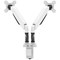 Dual Quick Release Monitor Arm, White