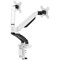 Dual Quick Release Monitor Arm, White