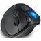 Kensington Pro Fit Ergo TB450 Trackball, Wireless, Black