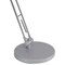 Alba Trek LED Desk Lamp White LEDTREK UK