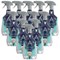 Astonish Specialist Limescale Remover Lime Blast 750ml (Pack of 12)