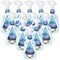 Astonish Multi Purpose Bicarbonate of Soda 750ml (Pack of 12)