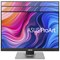 Asus ProArt Display Wuxga Professional Monitor 24.1 inch