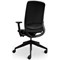 Atelier N12 Mesh Task Chair, Height Adjustable Arms, Black