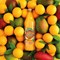 Robinsons Fruit Creations Orange & Mango Squash, 1 Litre