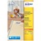 Avery L4736REV-25 Removable Laser Labels, 48 per Sheet, 45.7x21.2mm, White, 1200 Labels