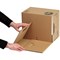 Bankers Box Earth Storage Boxes, Standard, Pack of 10