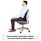 Fellowes Professional Padded Mesh Back Support