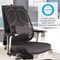 Fellowes Professional Padded Mesh Back Support