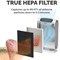 Fellowes DX55 Medium True HEPA Filter