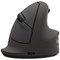 Fellowes Breyta Plus+ Ergonomic Vertical Mouse Large Right