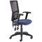 5 Star Lumo Mesh Chair with Folding Arms Royal Blue