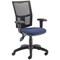 5 Star Lumo Mesh Chair Height Adjustable Arms Royal Blue