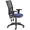 5 Star Lumo Mesh Chair Height Adjustable Arms Royal Blue