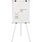 Bi-Office Earth Kyoto Tripod Magnetic Easel, Silver