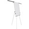 Bi-Office Earth Kyoto Tripod Magnetic Easel, With Paper Roll, With Extendable Arms, Silver