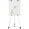 Bi-Office Earth Kyoto Mobile Magnetic Easel, Silver