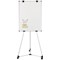 Bi-Office Earth Kyoto Mobile Magnetic Easel, Silver