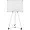 Bi-Office Earth Kyoto Mobile Non-Magnetic Easel, Silver