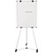Bi-Office Earth Kyoto Mobile Non-Magnetic Easel, Silver