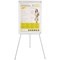 Bi-Office Earth-It Flipchart Easel, A1, White