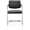 Havanna Leather Visitor Chair, Black