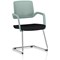 Cosmo Cantilever Chair Green Frame Black Seat