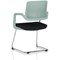 Cosmo Cantilever Chair Green Frame Black Seat