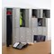 Bisley 2 Door Locker, 305x457x1802mm, Goose Grey