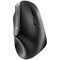 Cherry MW 4500 Right Hand Ergonomic Mouse, Wireless, Black