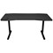 Nitro Concepts D16M Height Adjustable Gaming Desk, 1600x800x725-825mm, Black