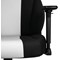 Nitro Concepts E250 Gaming Chair, Black & White