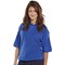 Beeswift Polo Shirt, Royal Blue, 5XL